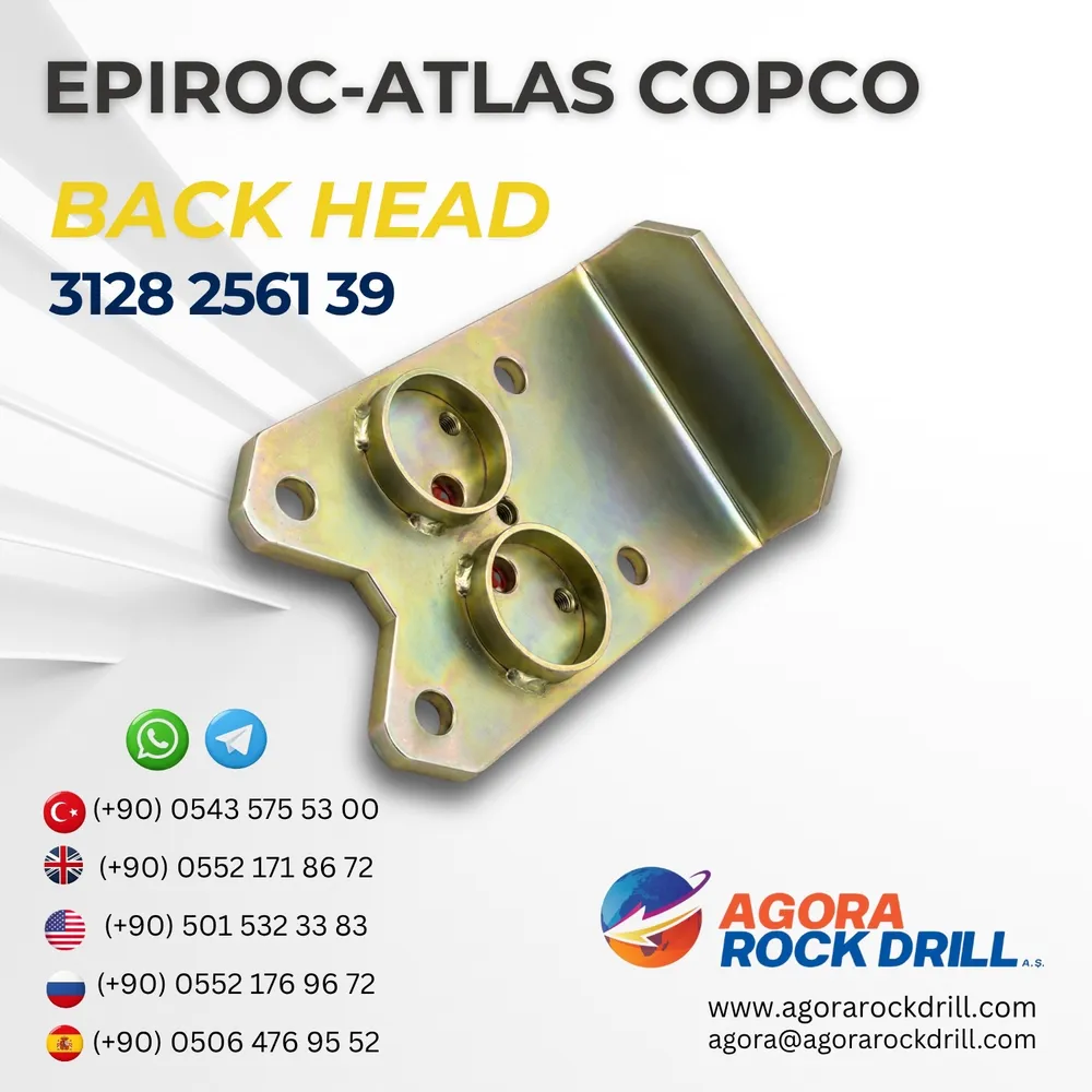 Back Head - 3128256139