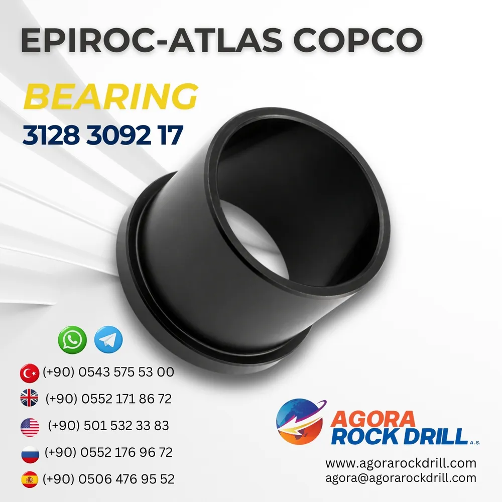 Bearing – 3128309217