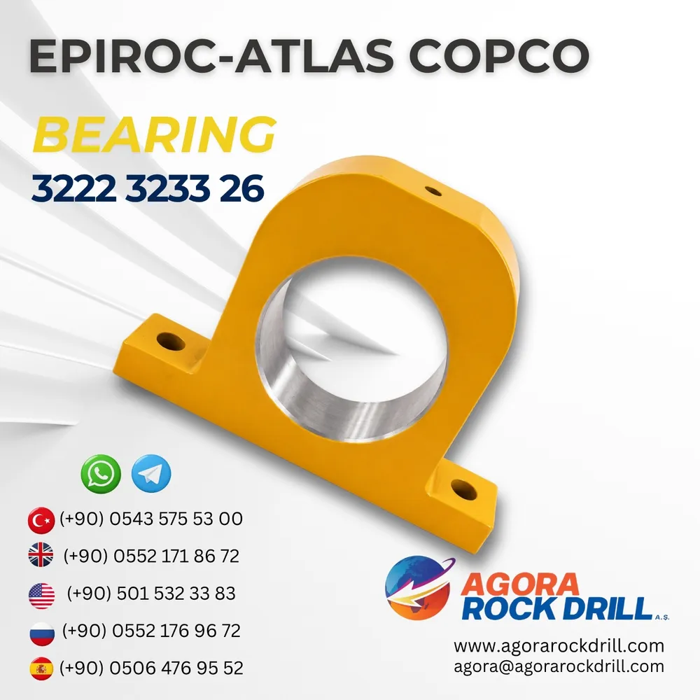 Bearing - 3222323326
