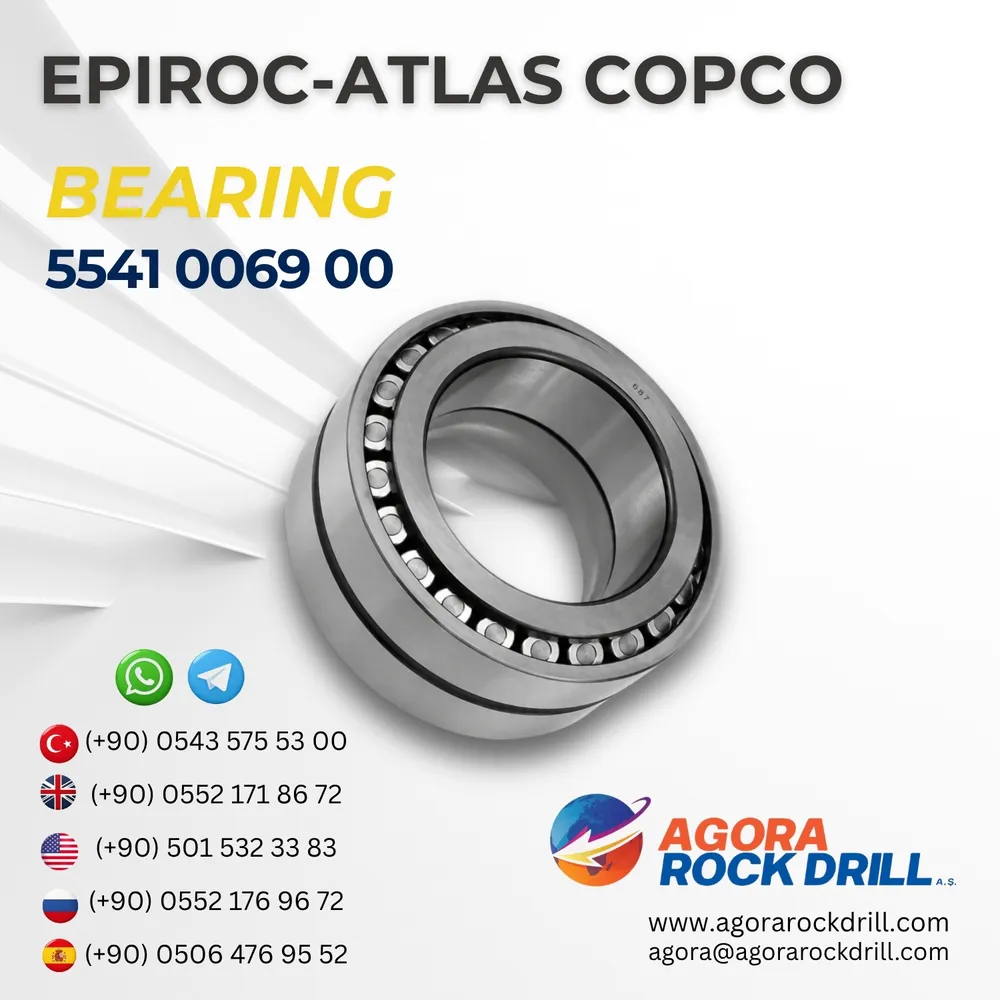 Bearing - 5541006900