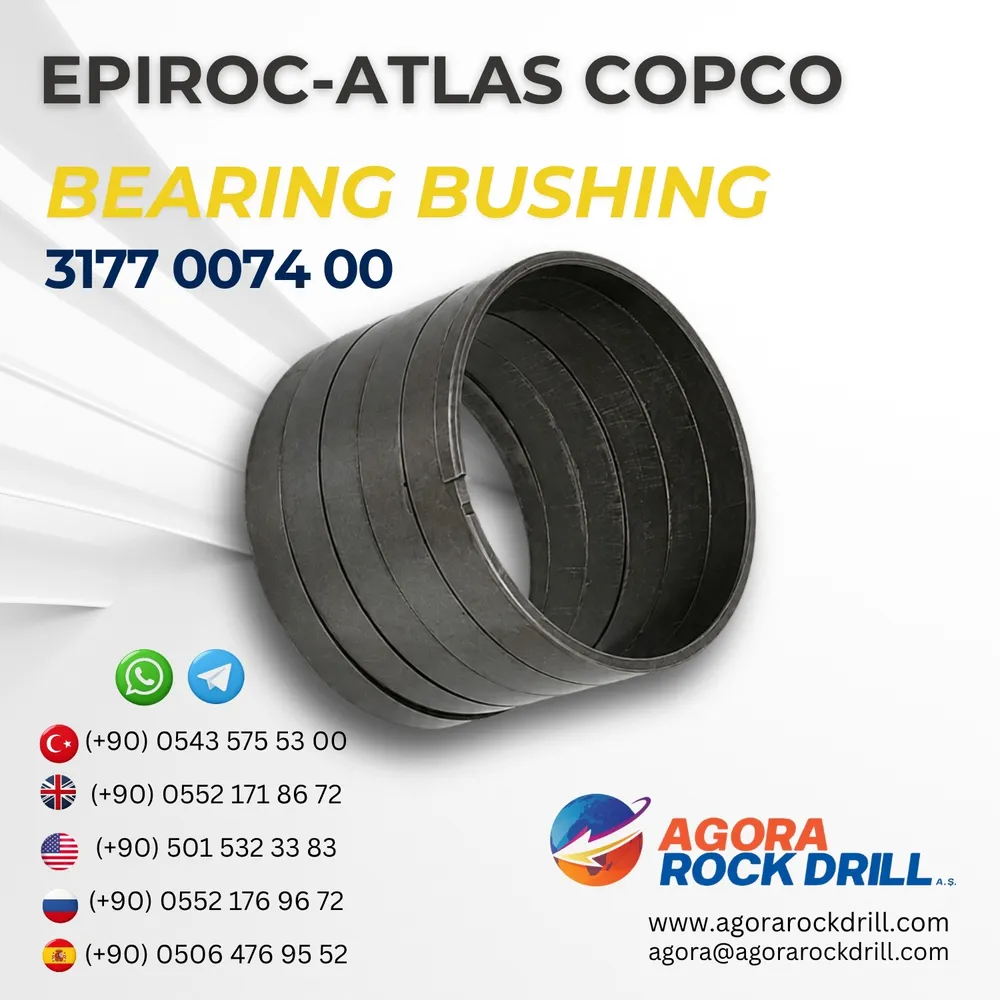 Bearing Bushing - 3177007400