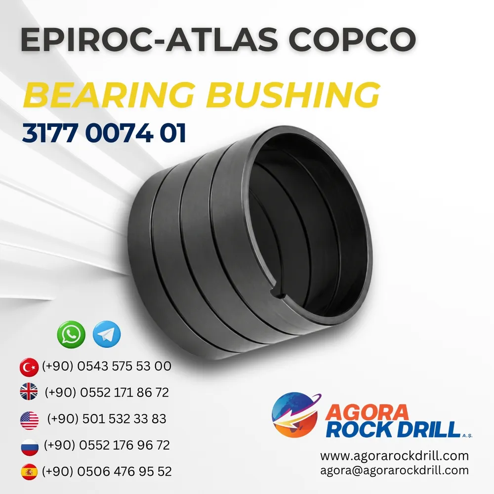 Bearing Bushing - 3177007401