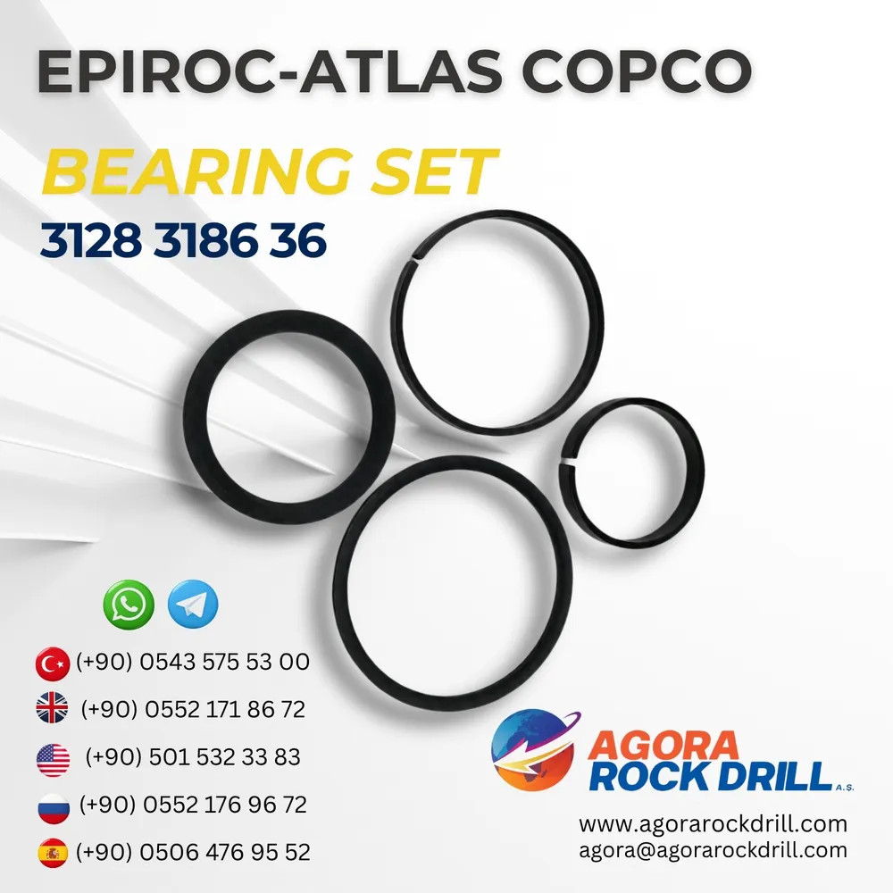 Bearing Set - 3128318636