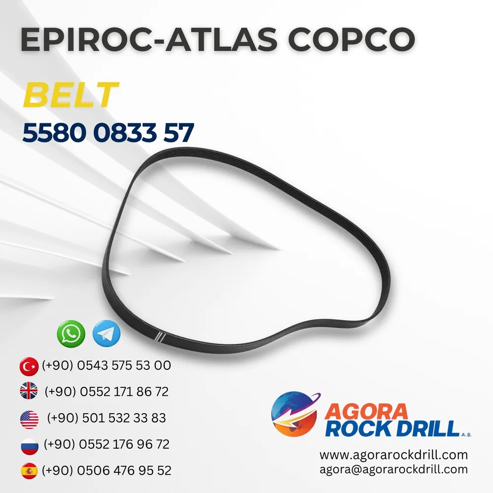 Belt - 5580083357