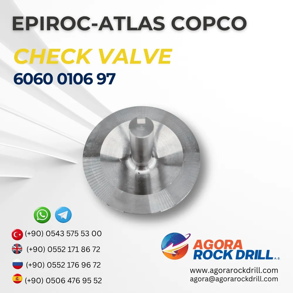Check Valve - 6060010697
