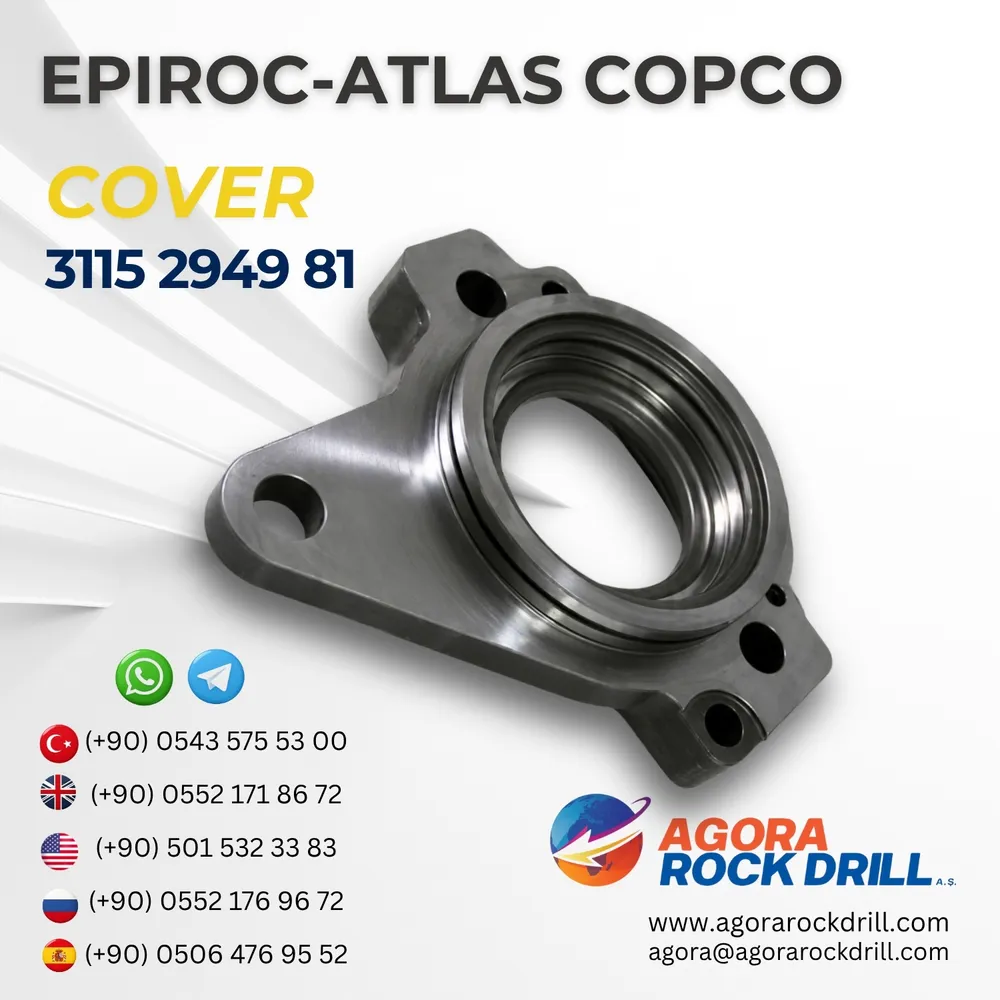 Cover – 3115294981
