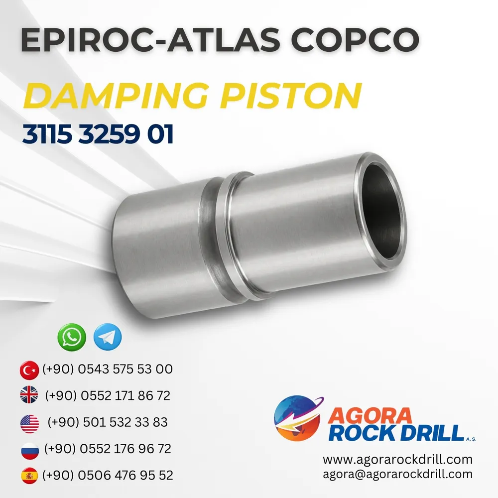 Damping Piston - 3115325901
