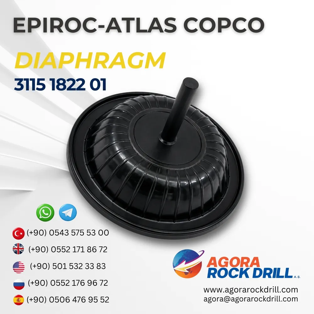 Diaphragm - 3115182201