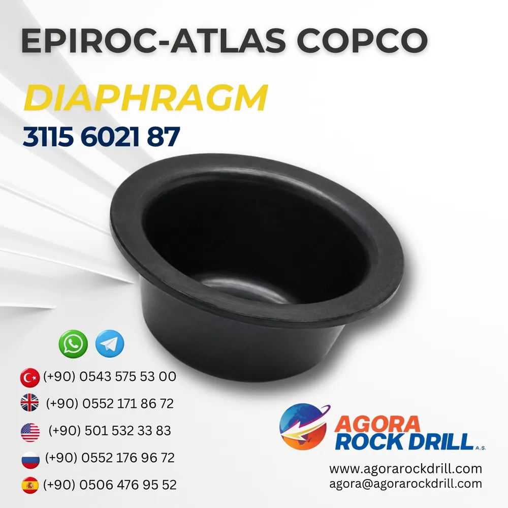 Diaphragm – 3115602187