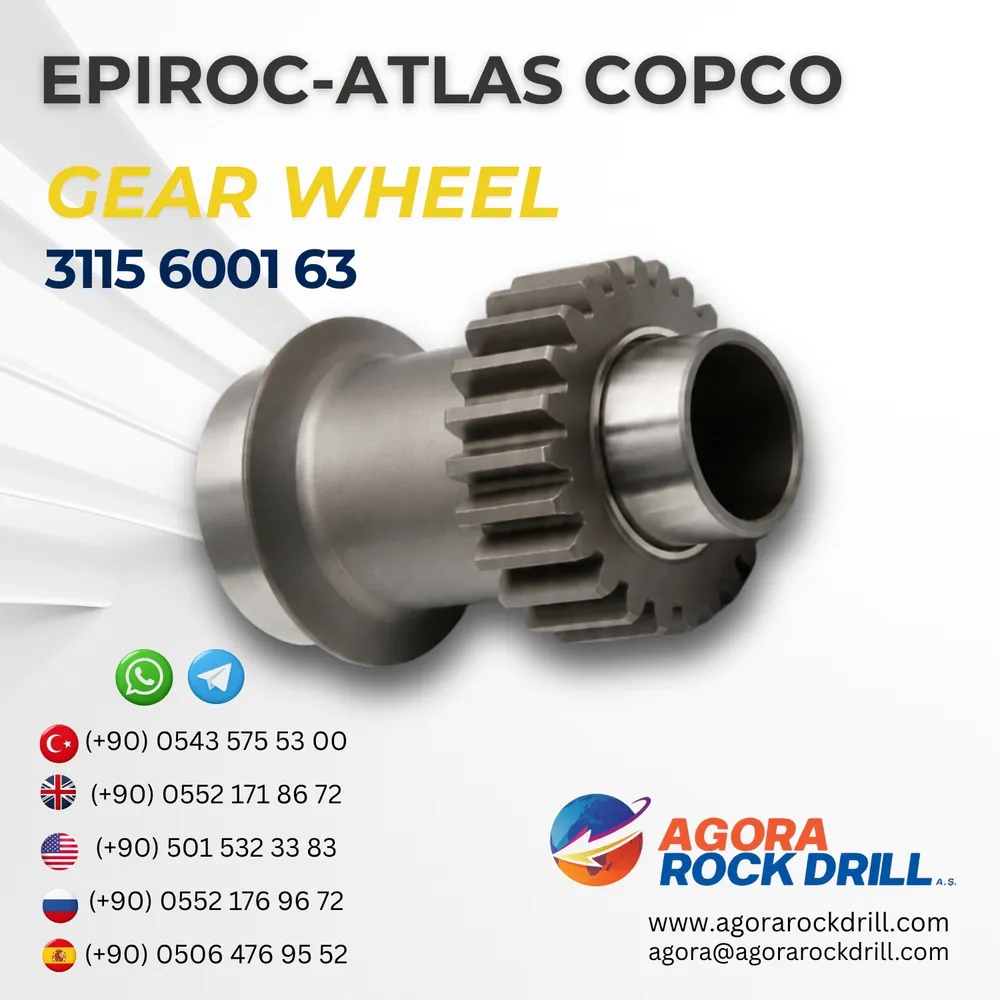 Gear Wheel – 3115600163