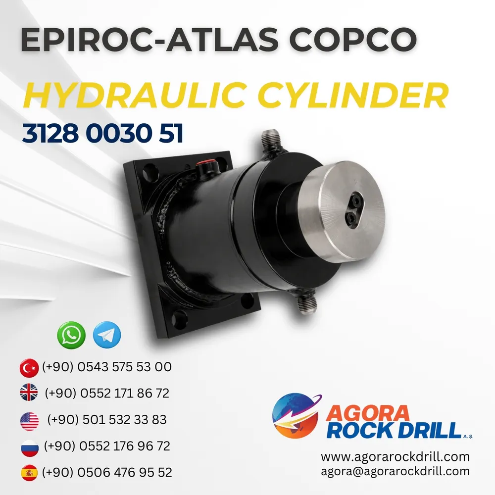 Hydraulic Cylinder - 3128003051
