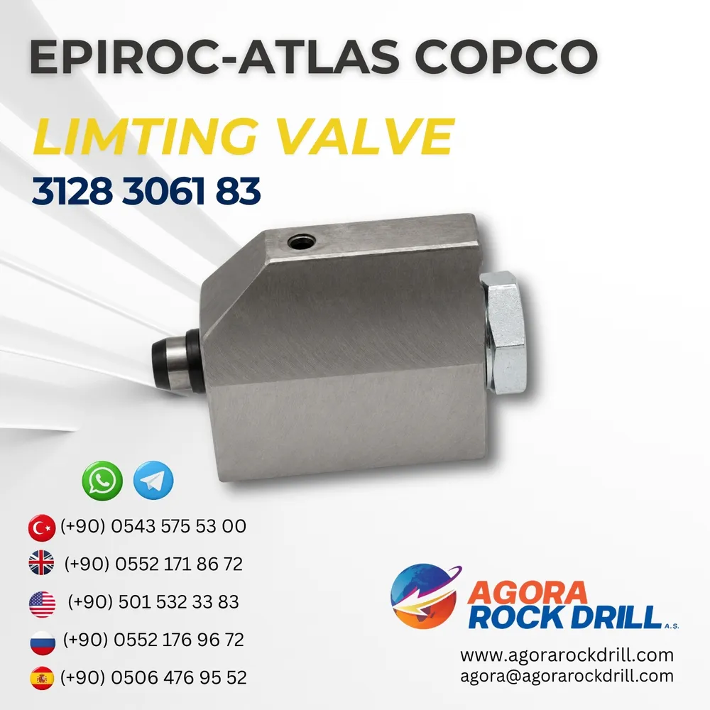 Limting Valve - 3128306183