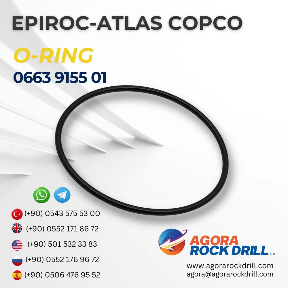 O-Ring - 0663915501