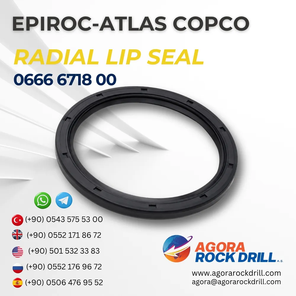 Radial Lip Seal – 0666671800