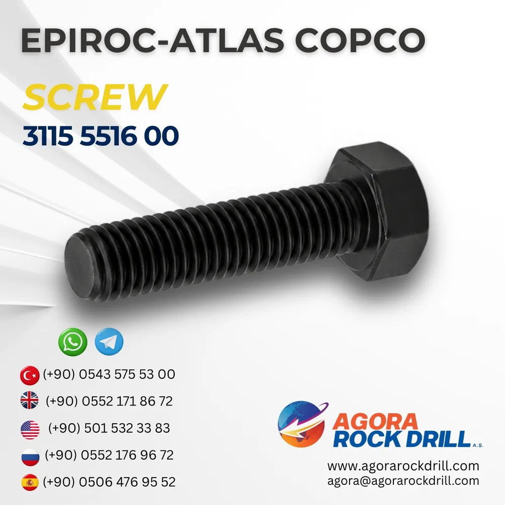 Screw – 3115551600