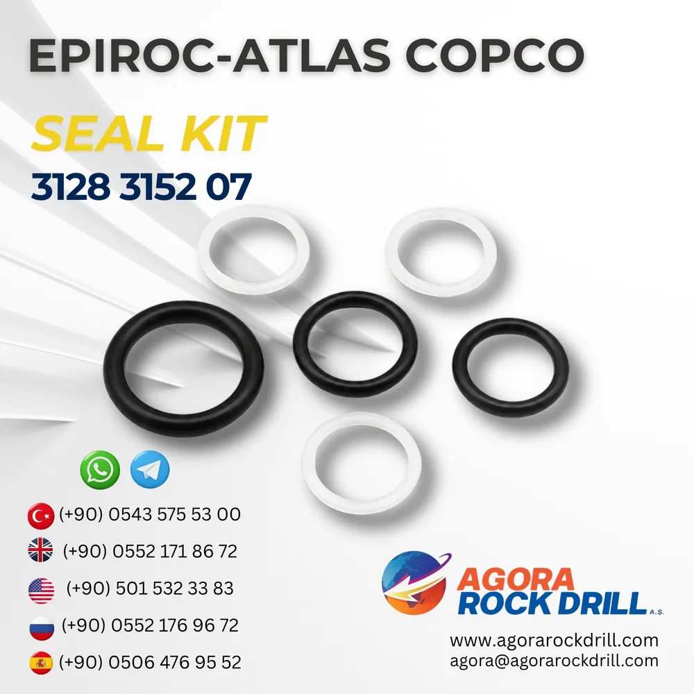 Seal Kit - 3128315207