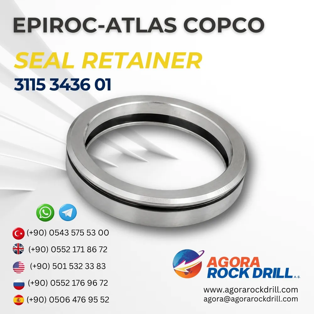 Seal Retainer - 3115343601