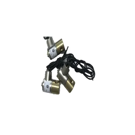 Selonoid Valve – 2439530852