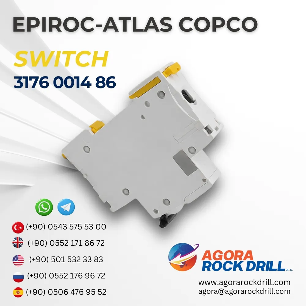 Switch - 3176001486