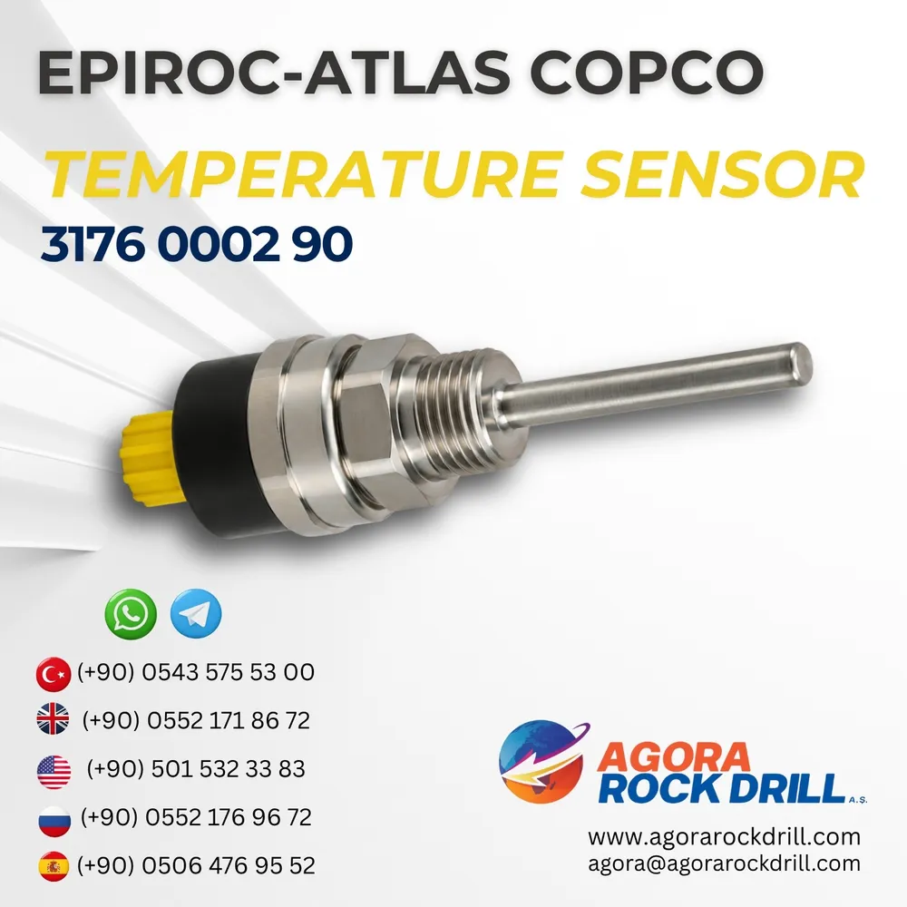 Temperature Sensor - 3176000290