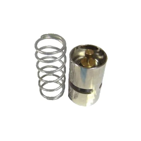 Thermostat Valve – 1619733300