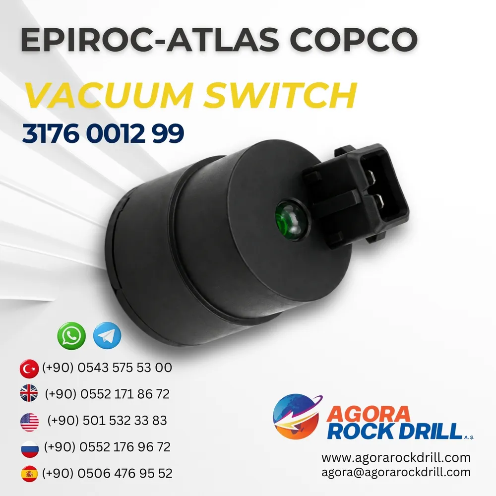 Vacuum Switch - 3176001299