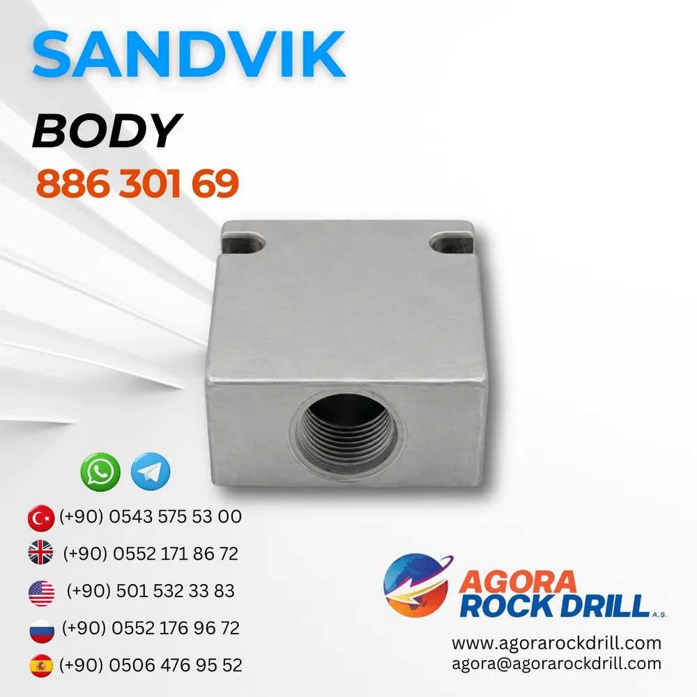 Body - 88630169