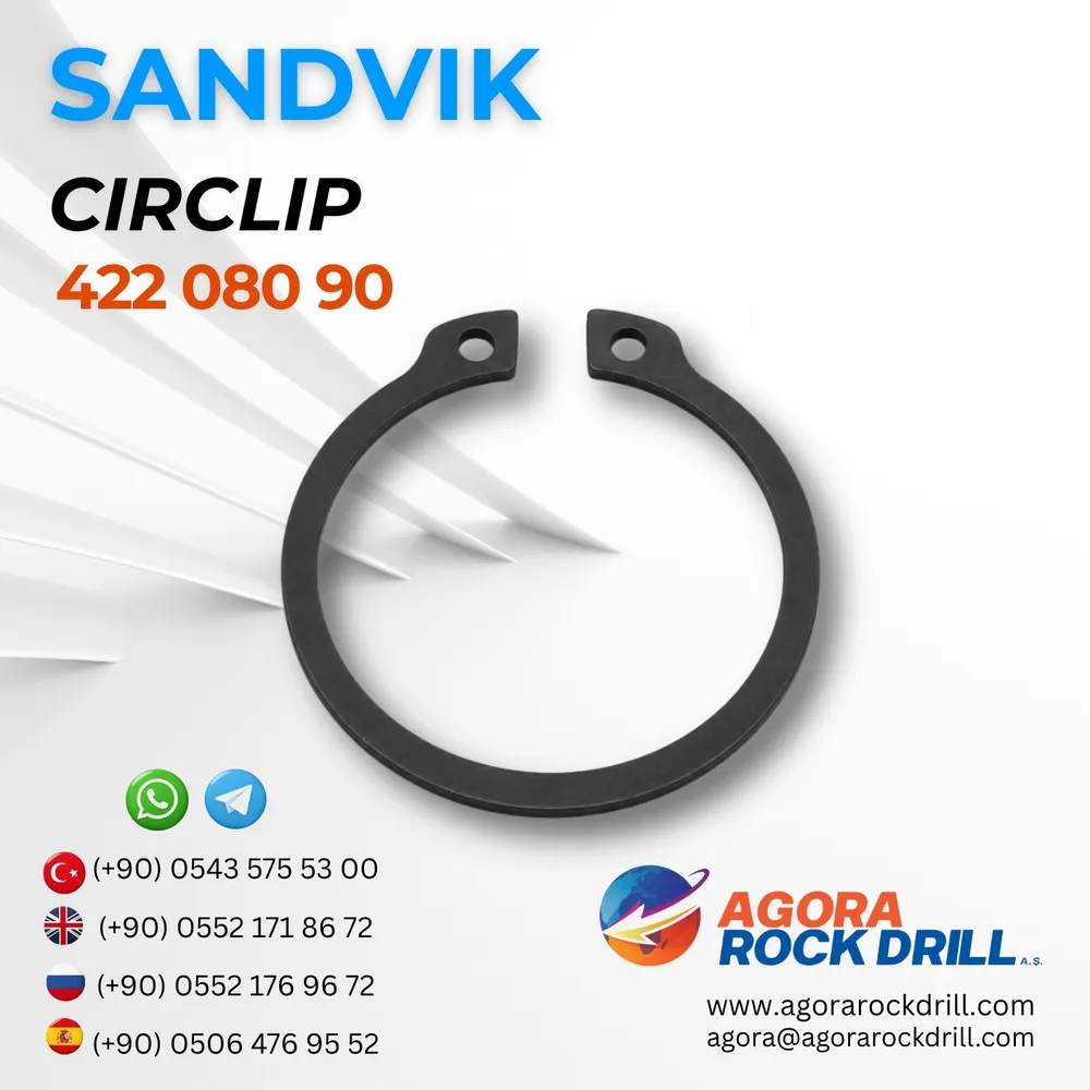 Circlip - 42208090