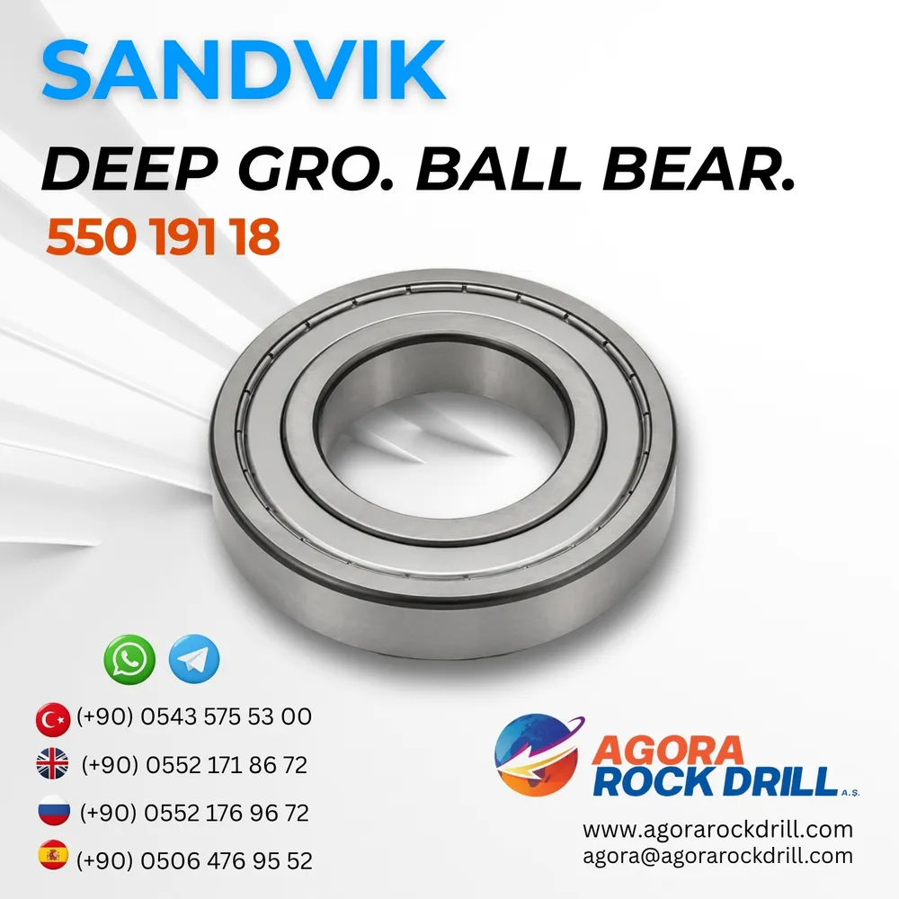 Deep Groove Ball Bearing - 55019118