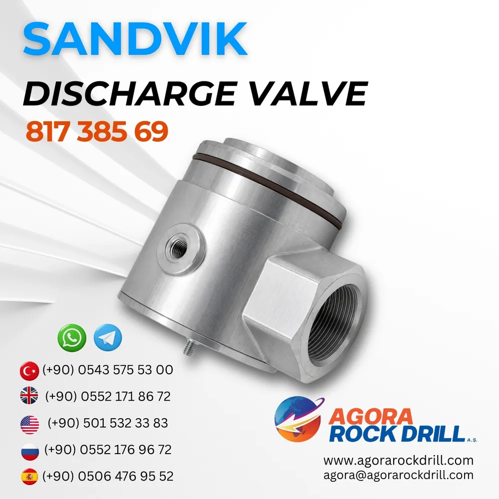 Discharge Valve – 81738569
