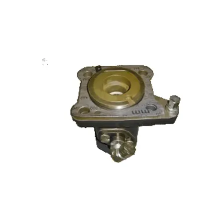 Flushing Device – 30289871