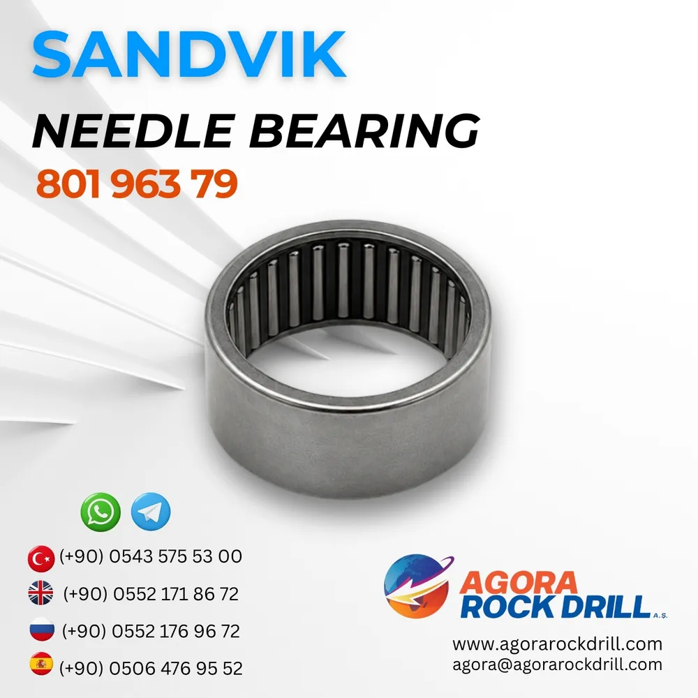 Needle Bearing – 80196379
