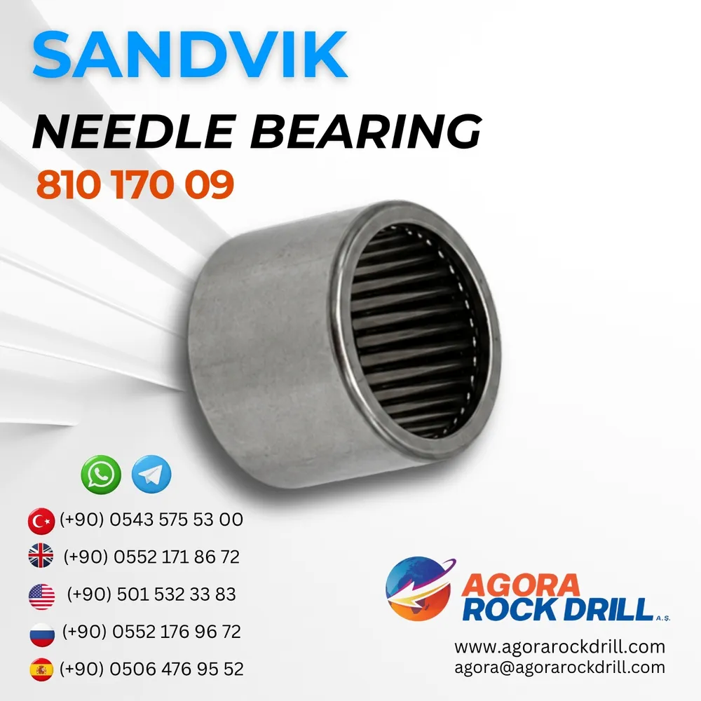 Needle Bearing - 81017009