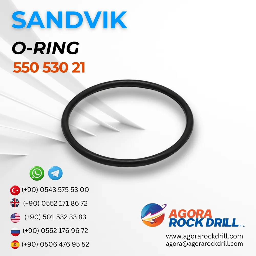 O-Ring - 55053021