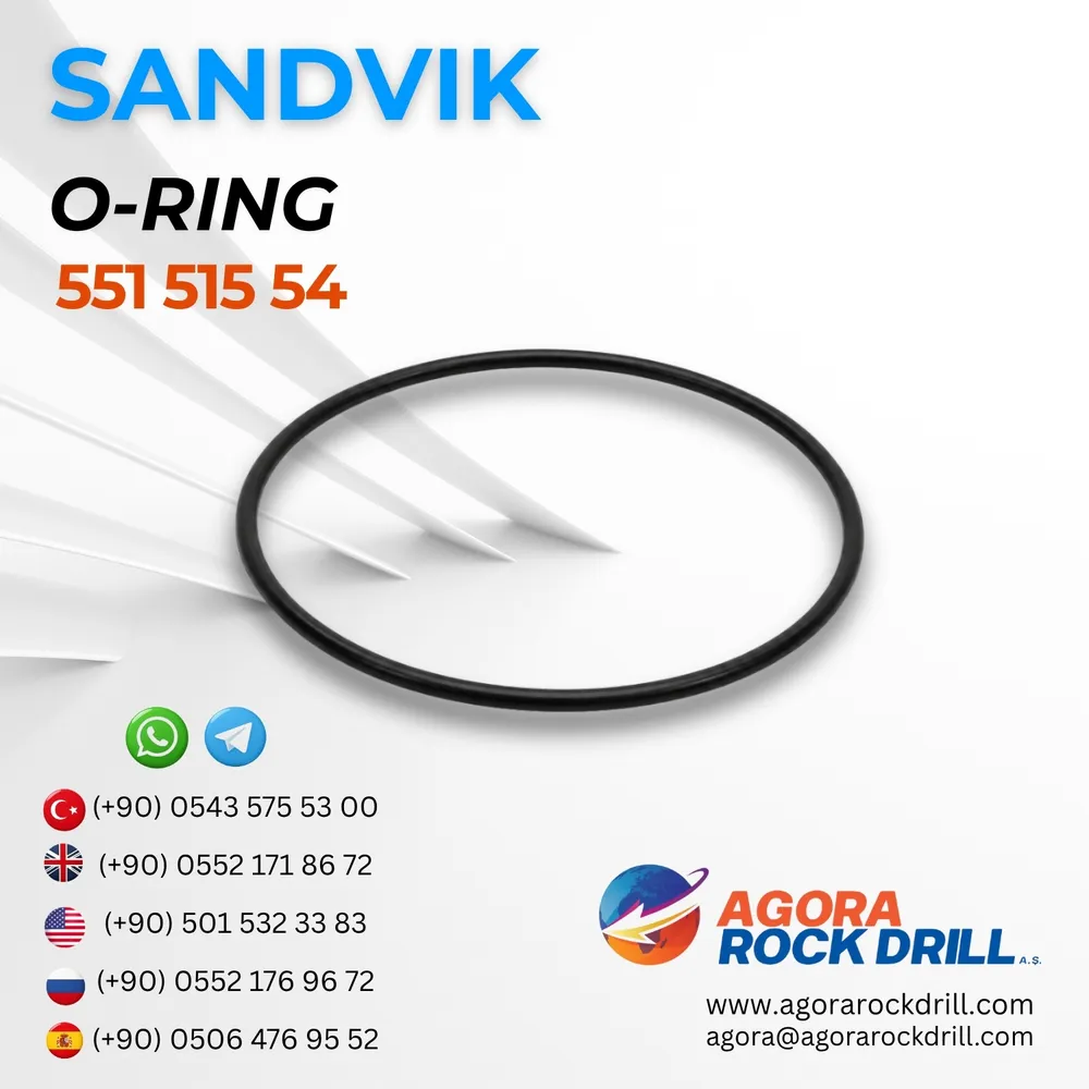 O-Ring - 55151554