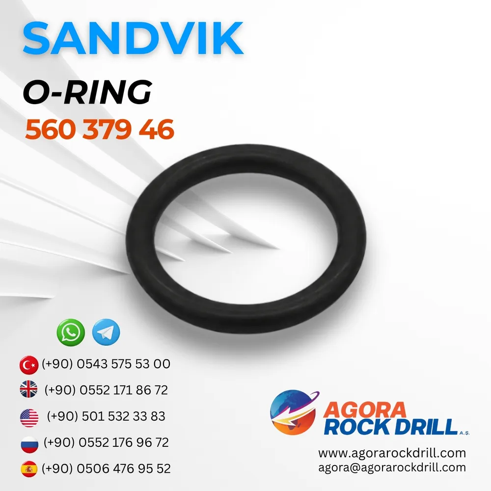 O-Ring - 56037946
