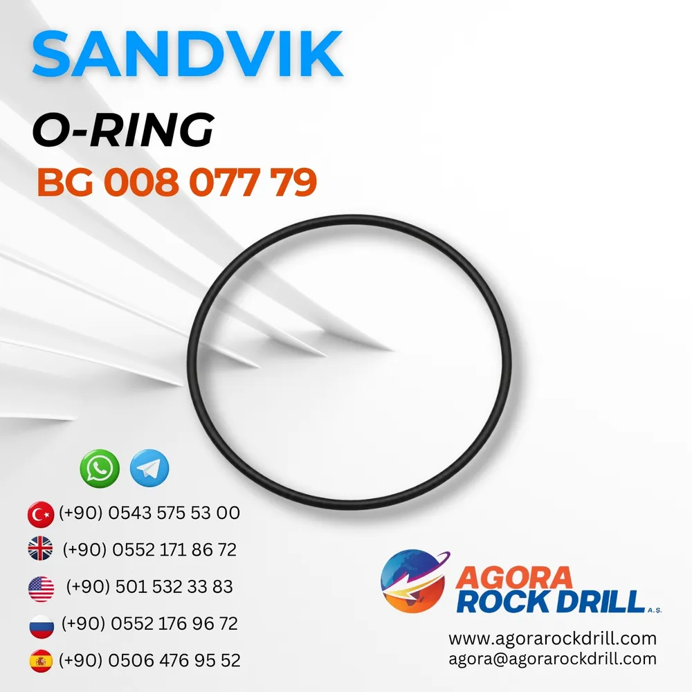 O-Ring - BG00807779