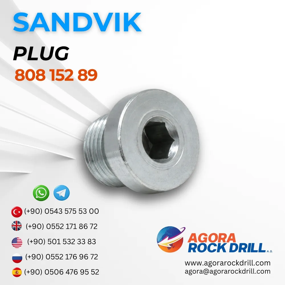 Plug – 80815289