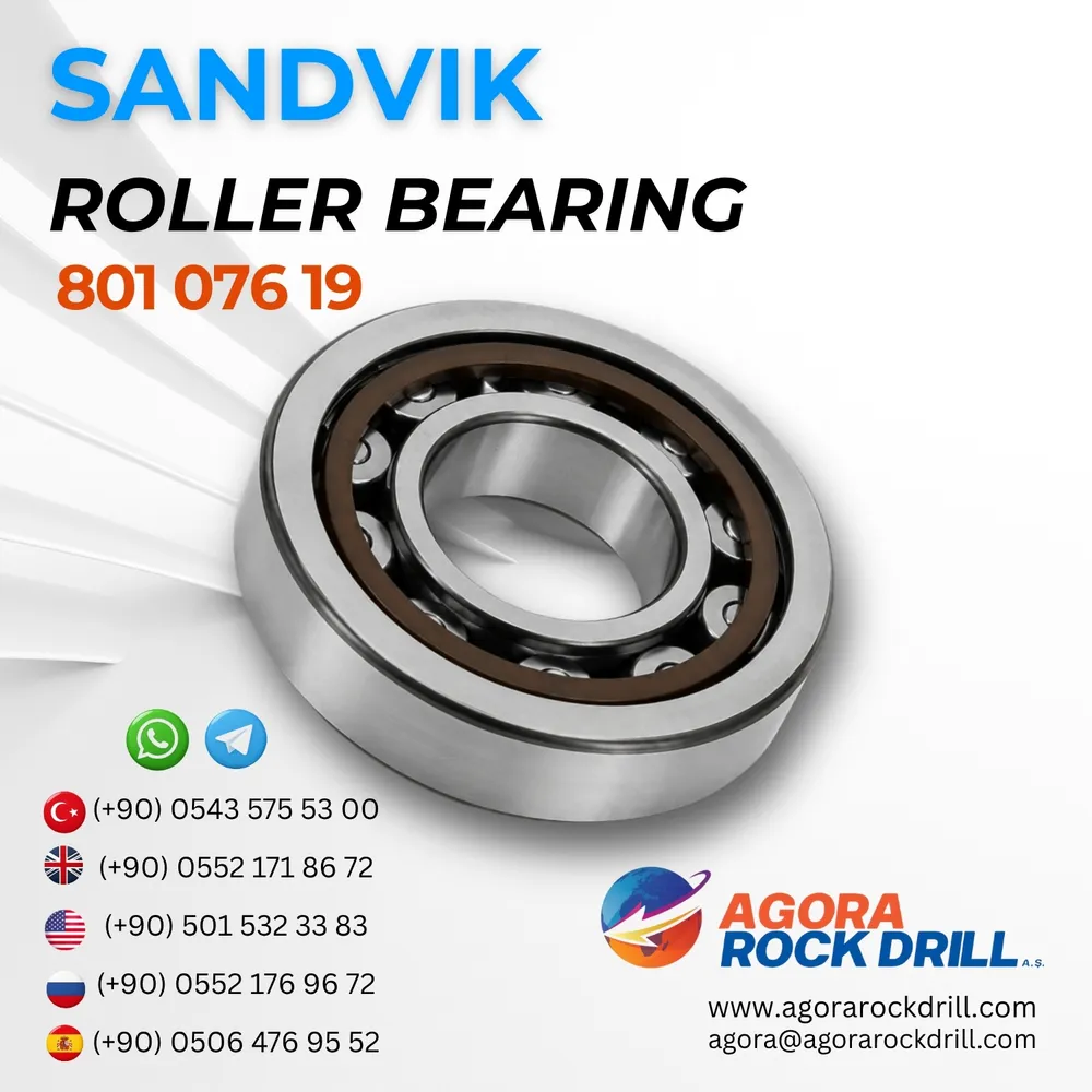 Roller Bearing - 80107619