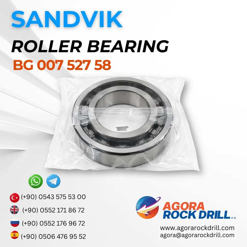 Roller Bearing - BG00752758