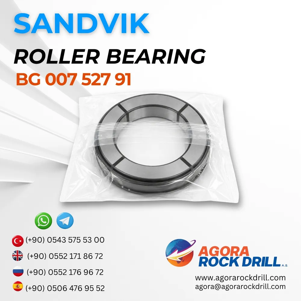 Roller Bearing - BG00752791