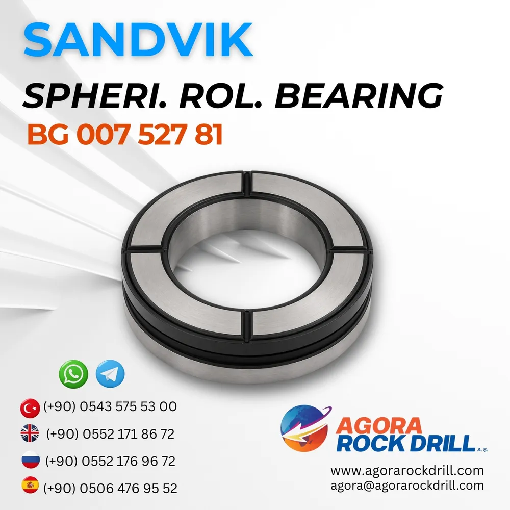 Spherical Roller Bearing – BG00752781
