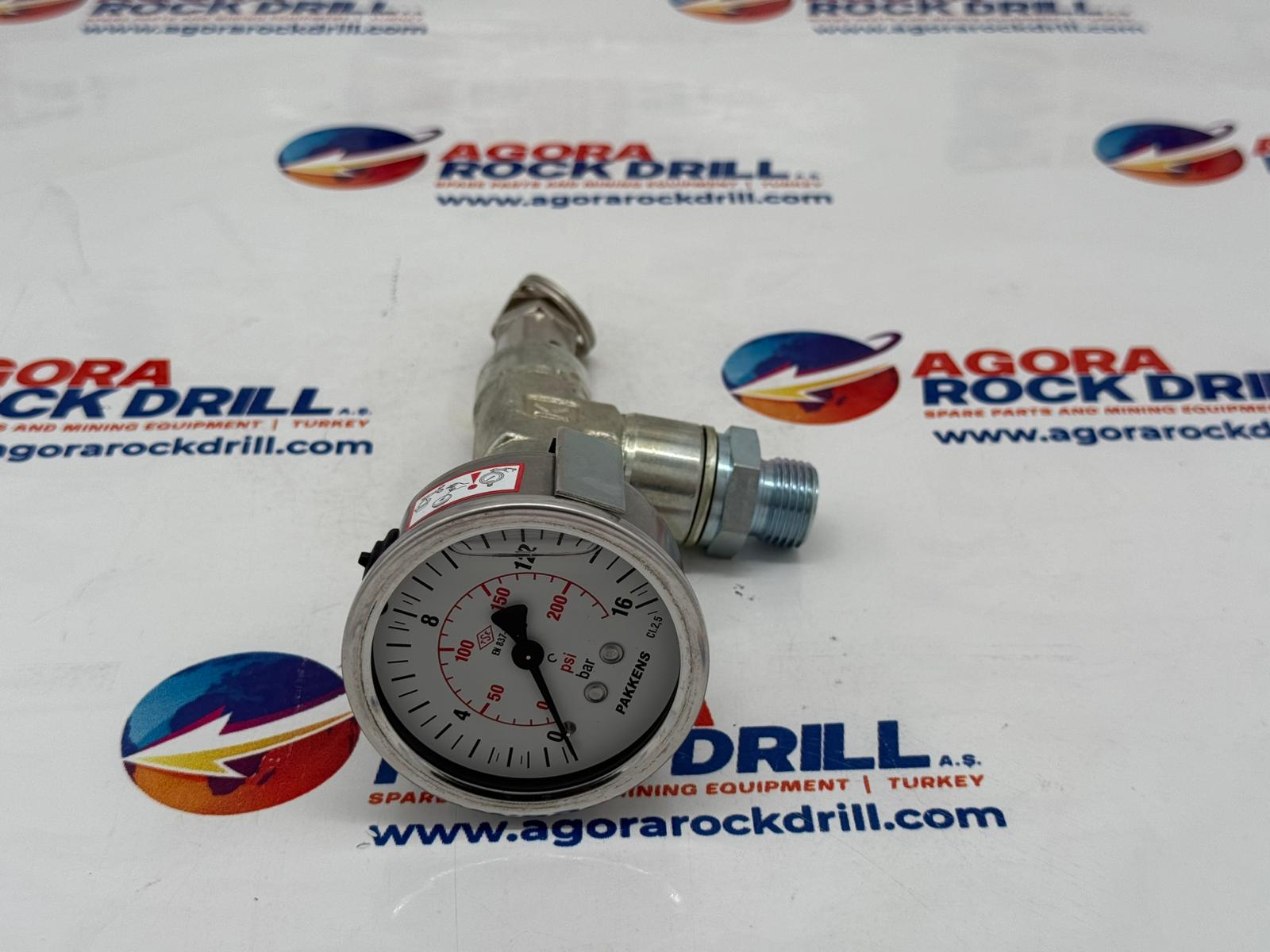 Safety Valve Assembly